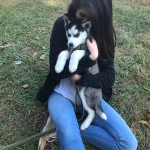 Meet your Posher, Anita!